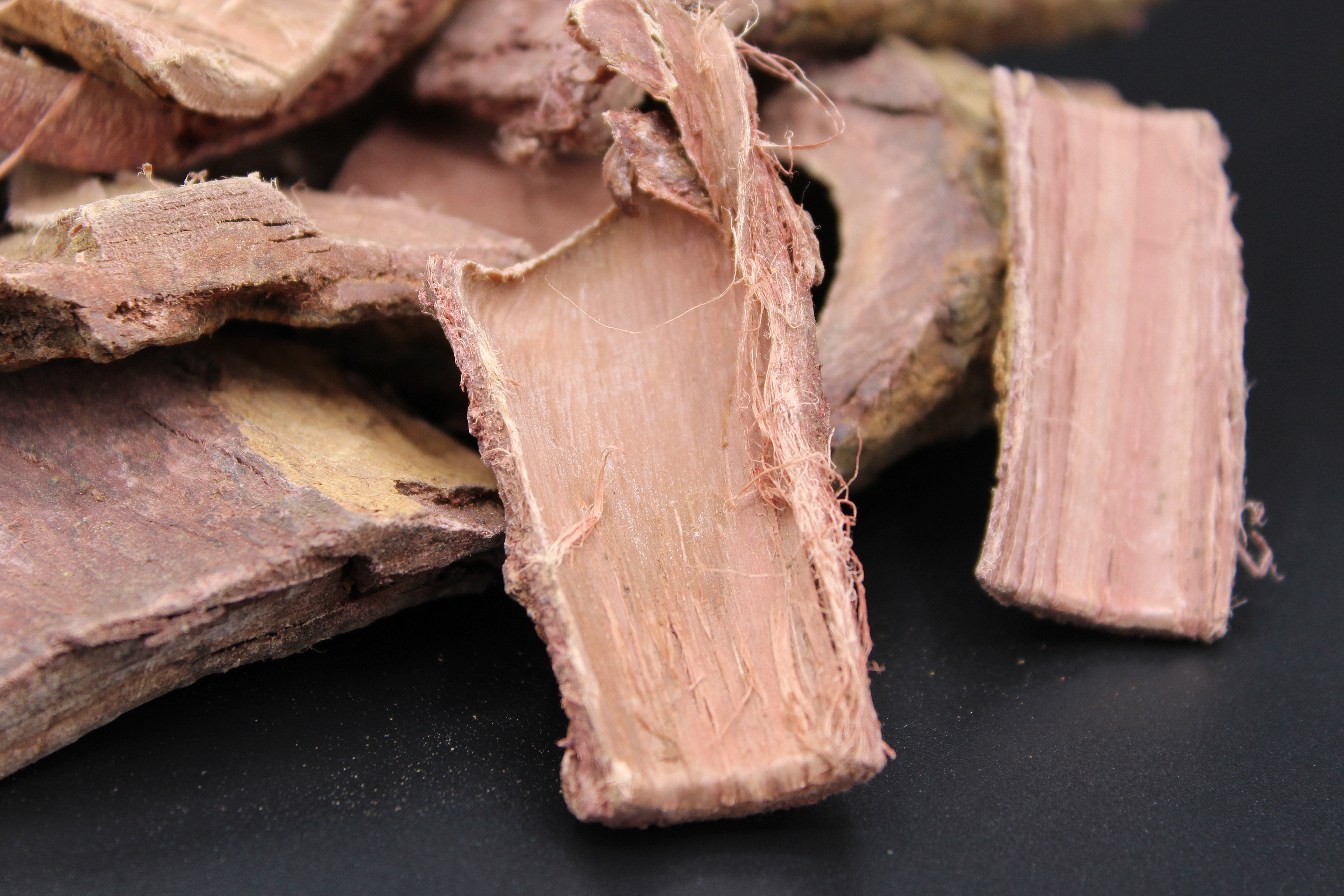 Interior face showing reddish-purple phloem