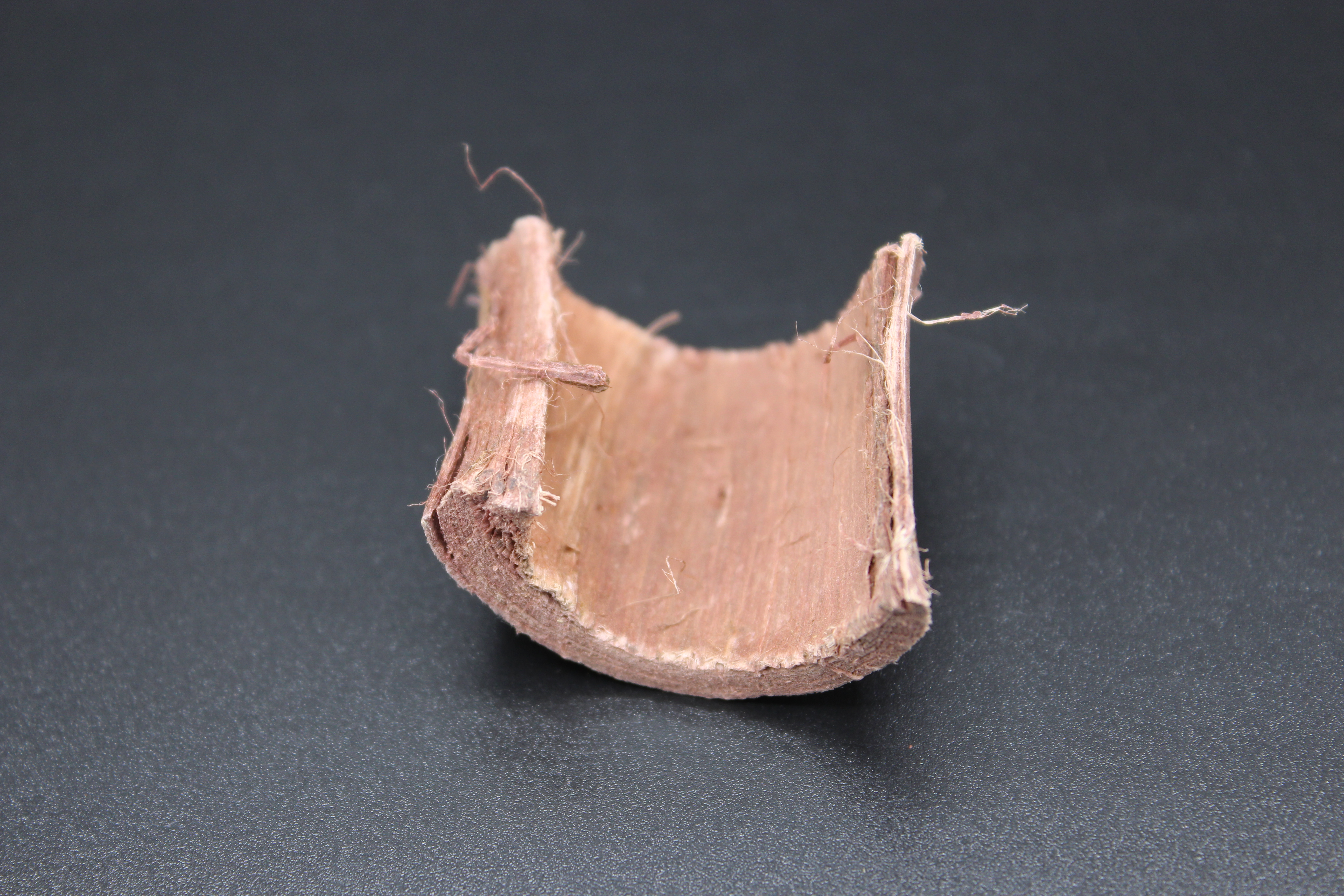 Pure phloem MHRB after core removal