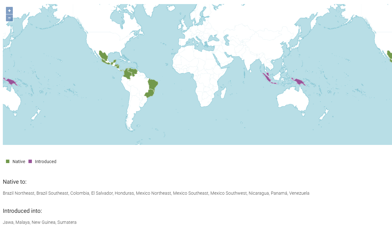 Map showing native range of Mimosa tenuiflora from Mexico through Central America to Brazil